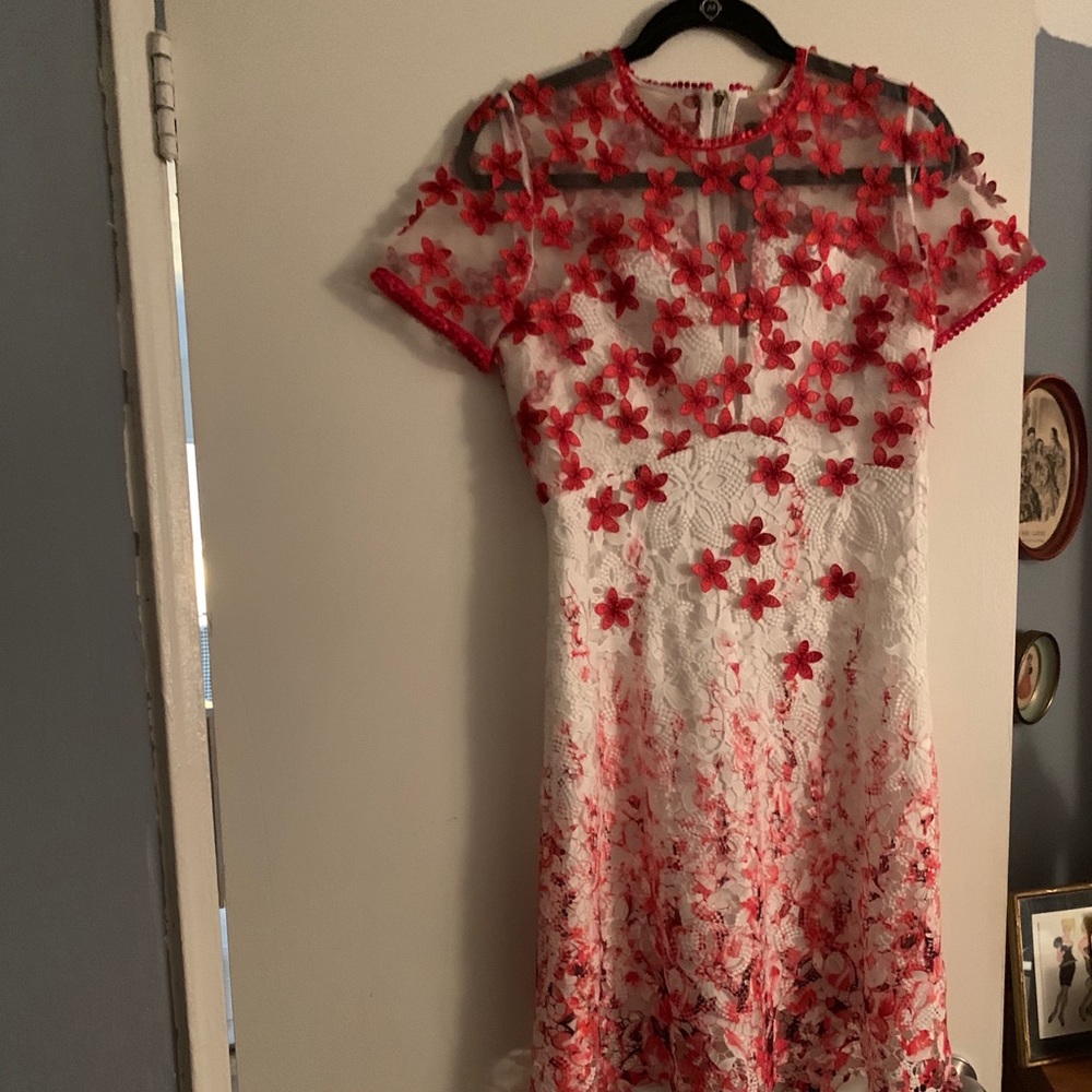 - NWT  Tahari Mindy Dress
